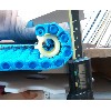 388 HASIR BANT DİŞLİSİ