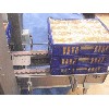 875 Earless (Cardenic) Spineless Belt - Conveyor part